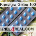 Kamagra Jelly 100 viagra4